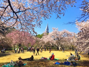 Sakura Bonjour Tokyo